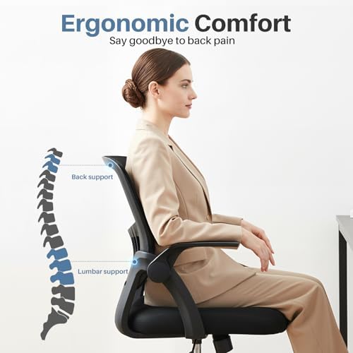 DUMOS Ergonomic Home Office Chair, Lumbar Support Desk Chair