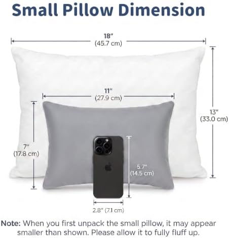Pro Goleem 2-Pack Small Pillow, 7"x11" Mini Pillow for Travel, Camping, Sleeping, Nap & Neck, Lumbar, Knee Support, for Office,Bed, Car, Air, Tiny Cushion for Kids, Pets, Adults (Grey)