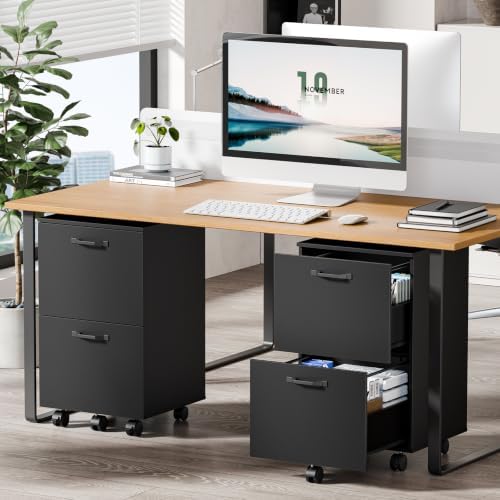 DUMOS 2 Drawer Storage Cabinet, Rolling Under Desk Storage, Black