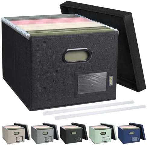 BALEINE File Organizer Box with Lid, Collapsible File Folder Organizer with Plastic Slide, Filing Box for Office Home Document Organizer Storage (Black, 1PK)