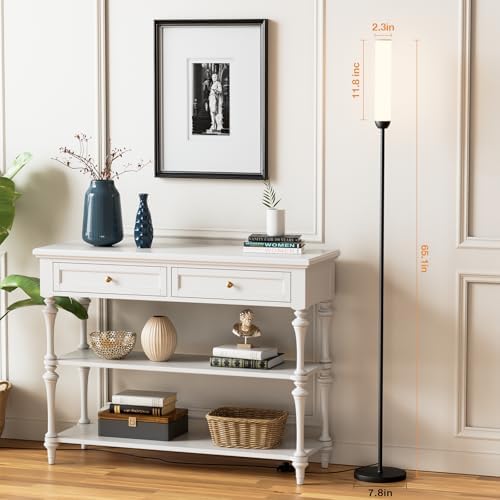 Ambimall LED Floor Lamp with Remote Control, Foot Switch, Black