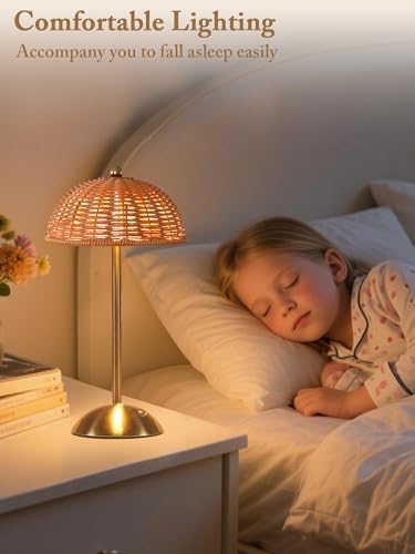 Cordless Table Lamp, Rattan Boho Desk Lamps, Small Wicker Night Light