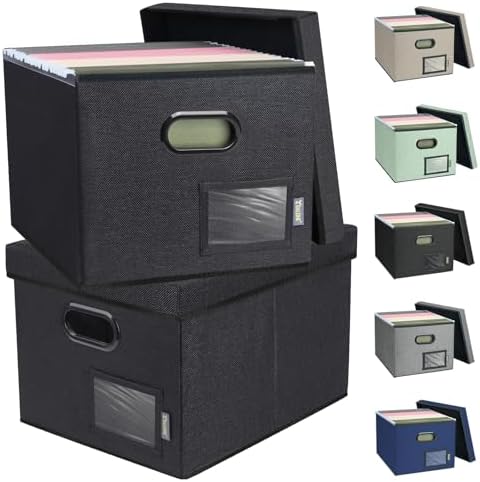 BALEINE File Organizer Box with Lid, Collapsible File Folder Organizer with Plastic Slide, Filing Box for Office Home Document Organizer Storage (Black, 2PK)
