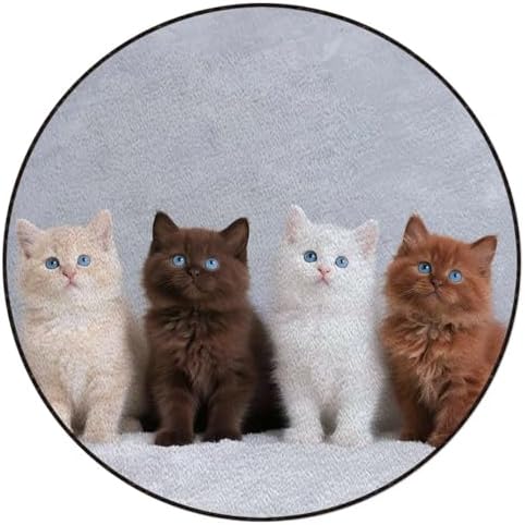 Four Kittens Blue Eyes Anti-Slip Chair Mat for Hardwood Floors & Carpets, Portrait Cute Pet Desk Chair Mat for Office, Gaming Room, and Home Use, White Brown Diameter 51 in