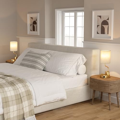 Fenmzee Bedside Lamps for Bedroom Set of 2 - Table Desk Lamp for Nightstand
