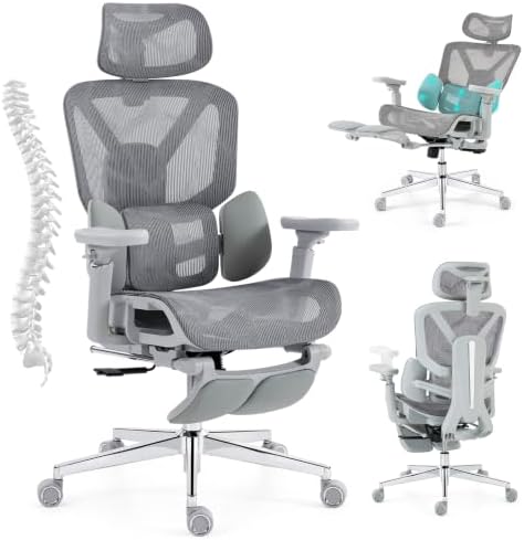 Office Chair Ergonomic with Dynamic Adjustable Lumbar Support