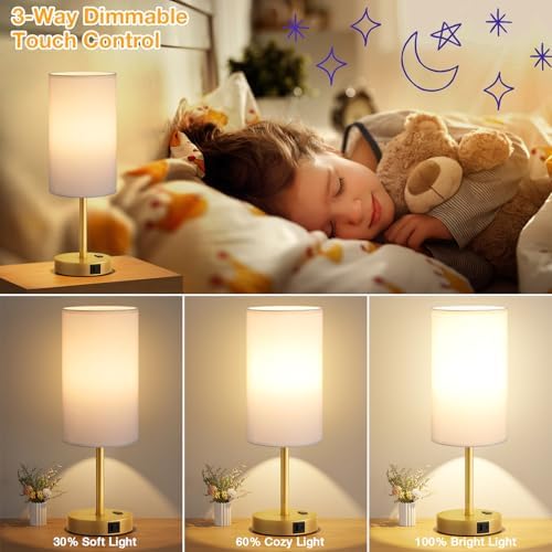 Dicoool 17.4" Bedside Lamp for Bedroom - Dimmable Touch, USB A+C, AC Outlet