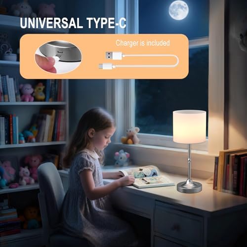 HAPYGI Portable Cordless Table Lamp,Built-in 5200mAH Rechargeable Battery, Dimmable Touch Wireless Light, Bed Side Metal Desk Lamp，Restaurant/Bedroom/Bar/Coffee/Night Light (Brushed Nickel)