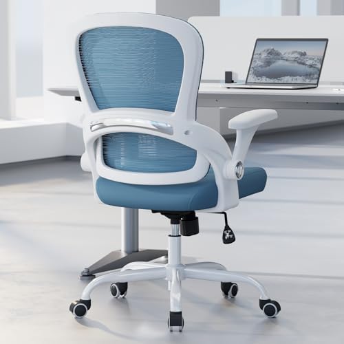 TRALT Office Chair - Ergonomic Office Chair with Back Support for Adults
