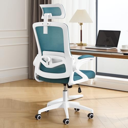 Fizzin Ergonomic Office Chair, Desk Chair with Adjustable Lumbar Support