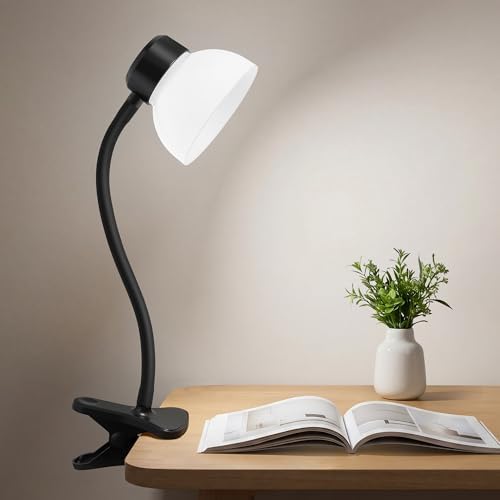 Desk Lamps for Home Office,Small LED Reading Lamp,5000K Eye-Care Desk Light