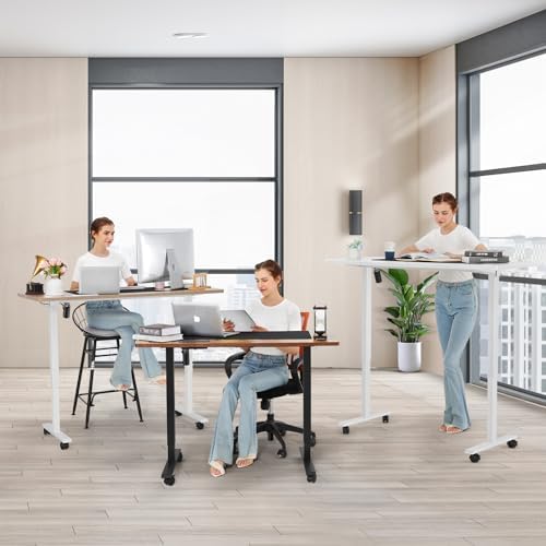 farexon 48 x 24 inch Standing Desk Electric Adjustable Height with Power Outlets, Stand up Desk with Wheels, Preset Heights Home Office Gaming Computer Workstations Table(White)