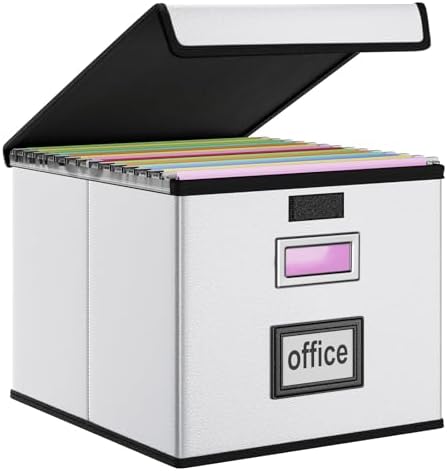 File Organizer Box with Lids, Collapsible File Folder Organizer