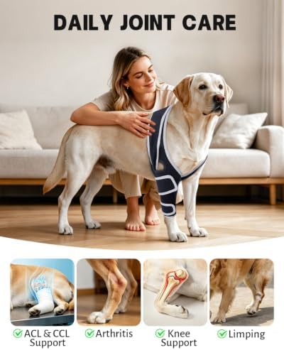 Dog Front Leg Brace for Left & Right Leg, (Size S).