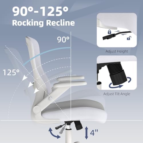 ralex-chair Ergonomic Office Chair with Adjustable Lumbar Support 350lbs