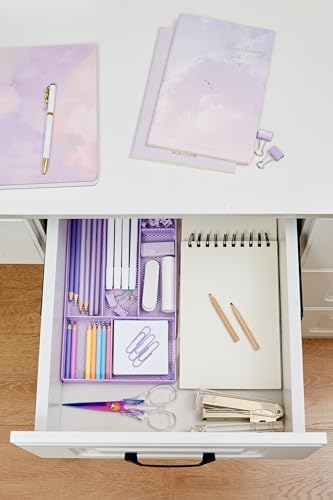 Annova Desk Drawer Organizer Tray for Office Organization - Metal Mesh - Storage Tray with Dividers for Pens, Desktop Accessories, Bathroom, Kitchen, Makeup and Office Supplies (Small, Purple)