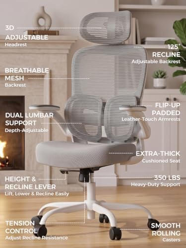Ergonomic Office Desk Chair, Adjustable Dual Lumbar Support & Thick Seat
