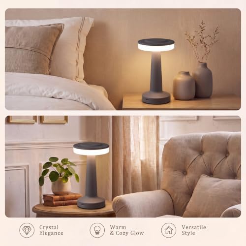 Riakrum 2 Pcs LED Cordless Table Lamp Bulk Rechargeable,Gray