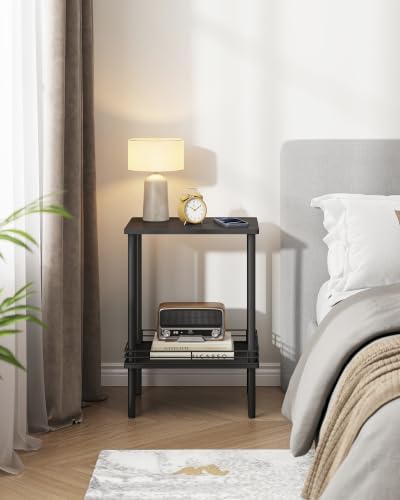 DGSANDGO Modern Small Side Table with Storage, 2-Tier Black End Table