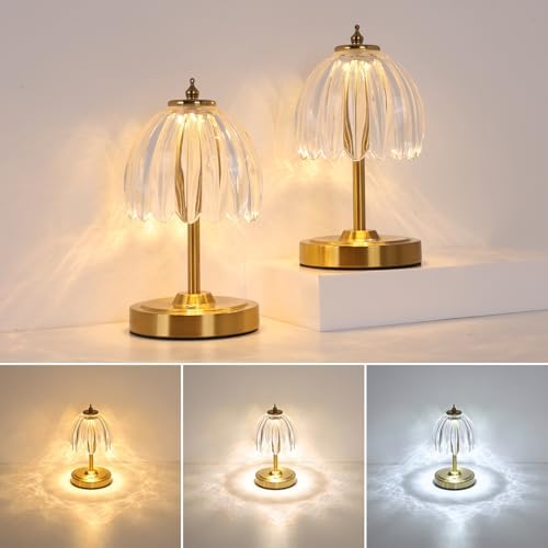 Shenmoyl Set of 2 Tulip Table Lamp with 5200mAh Battery & Touch Control, Cordless Small Table Lamp with 3 Colors, Rechargeable Battery Operated Table Lamps for Nightstand, Bedroom (Transparent Tulip)