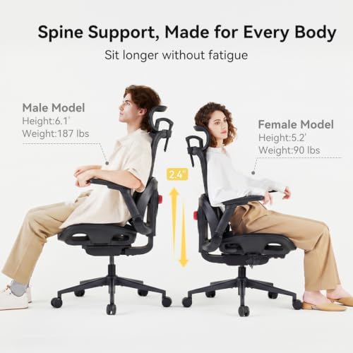 SIHOO B300 Pro Ergonomic Office Chair Without Footrest, 4D Lumbar Support