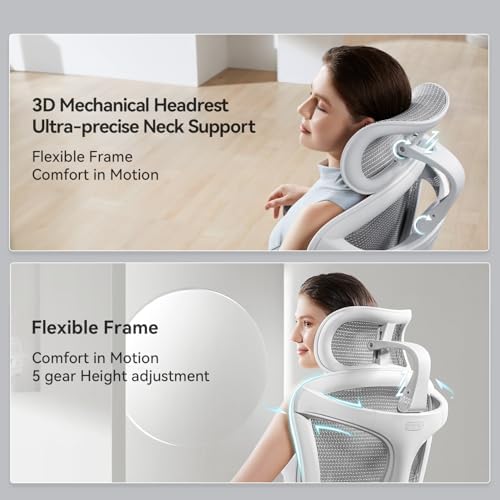 SIHOO Doro C300 Pro Ergonomic Office Chair with Ultra-Soft 6D Armrests