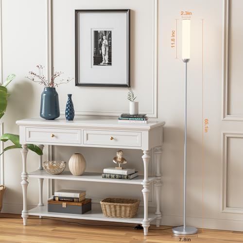 Ambimall LED Floor Lamp with Remote Control, Foot Switch, Silver