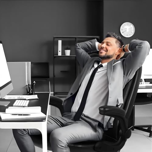 VITESSE Ergonomic Office Chair, Big and Tall Executive Office Chair