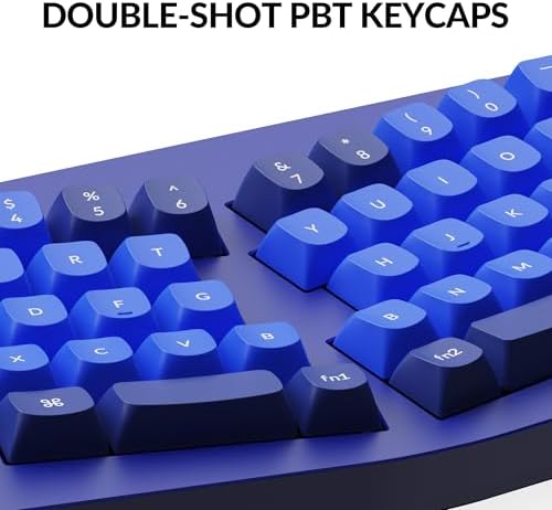 Keychron Q8 Wired Custom Mechanical Keyboard Knob Version, 65% Alice Layout QMK/VIA Programmable with Hot-swappable Gateron G Pro Red Switch Double Gasket Compatible with Mac Windows Linux (Blue)