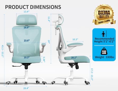 Ergonomic Office Chair: Mesh Desk Chair Comfy with Headrest& Lumbar Support