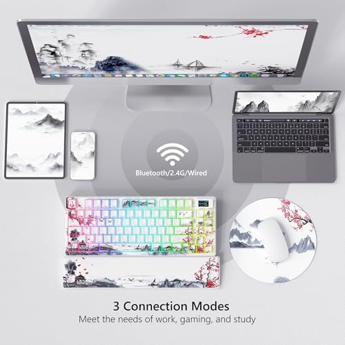 Womier 75% Wireless Mechanical Keyboard with Color Multimedia Screen