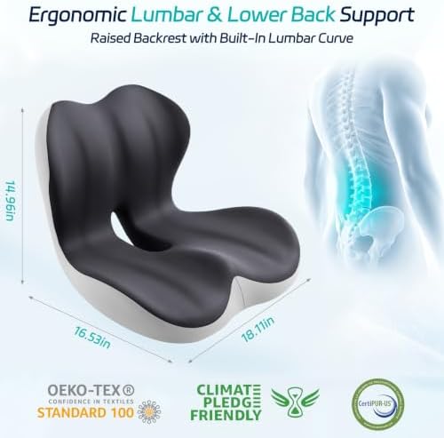 Cool & Dry Seat Cushion & Back Support for Coccyx & Lumbar Relief