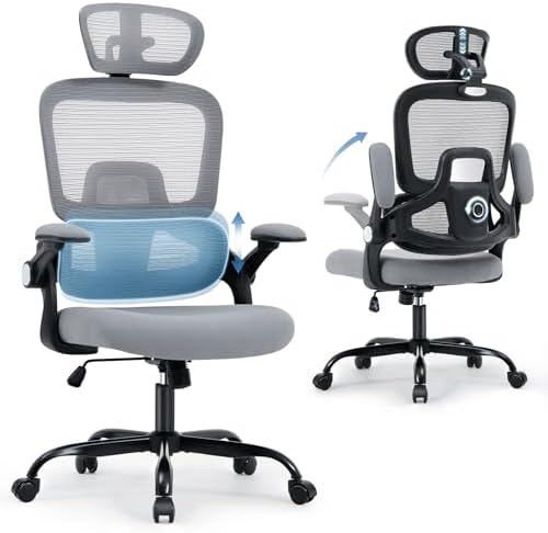 Office Chair with Adjustable Lumbar Support, Ergonomic Desk Chairs, Gray