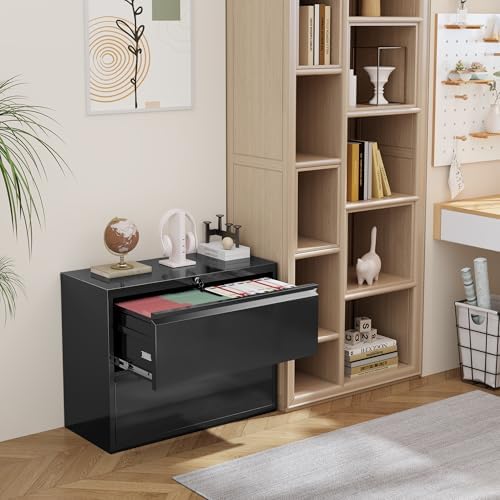 INTERGREAT Lateral File Cabinet 2 Drawer, Black Metal File Cabinets for Home Office, Locking File Cabinet for Letter/Legal/F4/A4 Size, Easy Assembly