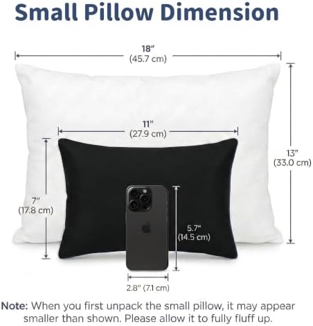 Pro Goleem 2-Pack Small Pillow, 7"x11" Mini Pillow for Travel, Camping, Sleeping, Nap & Neck, Lumbar, Knee Support, for Office, Bed, Car, Air, Tiny Cushion for Kids, Pets, Adults (Black)