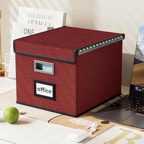 File Organizer Box with Lids, Collapsible File Folder Organizer