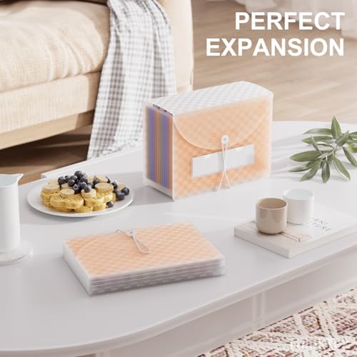 ThinkTex 26 Pockets Expanding File Folders, Accordion File Organizer