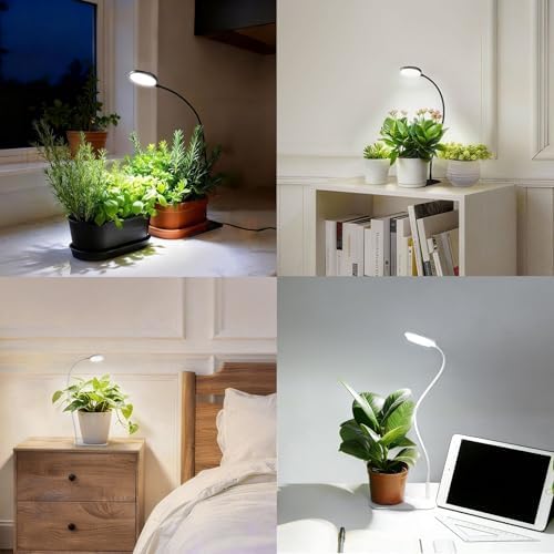 Desktop Indoor Plant Grow Light, 12W Full Spectrum,Plant lamp with 4 Dimmable & 3 Timer Modes, 360° Gooseneck Plant Lights for Office Desk Small Grow Lights for Indoor Plants(White)