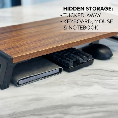 Zapuno Desk Organizer and Accessories, Computer Monitor Stand Riser with USB Hub , Laptop Stand