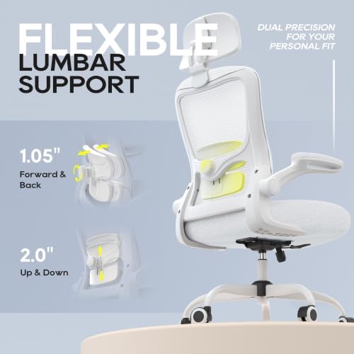 Ergonomic Office Chair for Long Hours, Padded Lumbar Support for Lower Back Relief, 330 lb Capacity, Comfortable Computer Desk Chair for Home Office, Work & Study