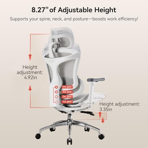 SIHOO Doro C300 Ergonomic Office Chair
