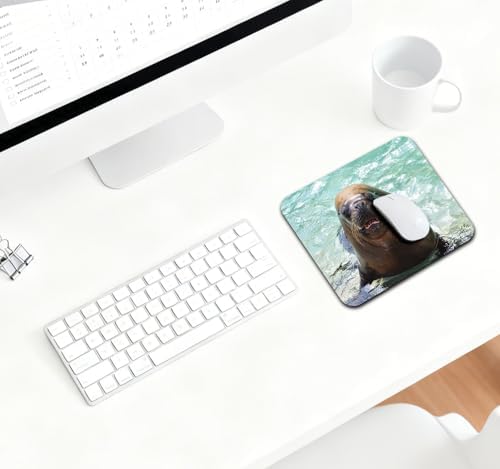 9.5x7.9 Inch Office/Gaming Mouse Pad, Funny Sea Lion Cute Anti-Slip Mat for Desk
