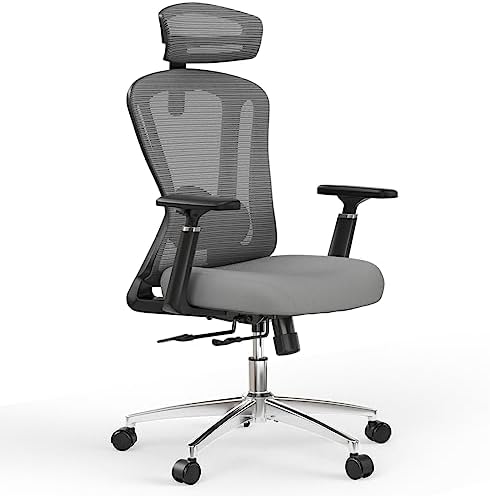 High Back Mesh Office Desk Chair, Adjustable Lumbar & Headrest, 350lb