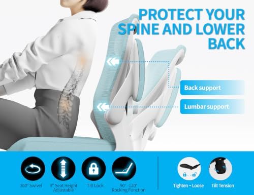 Ergalithic Office Chair: Mesh Ergonomic Desk Chair with 3D Lumbar & Swivel
