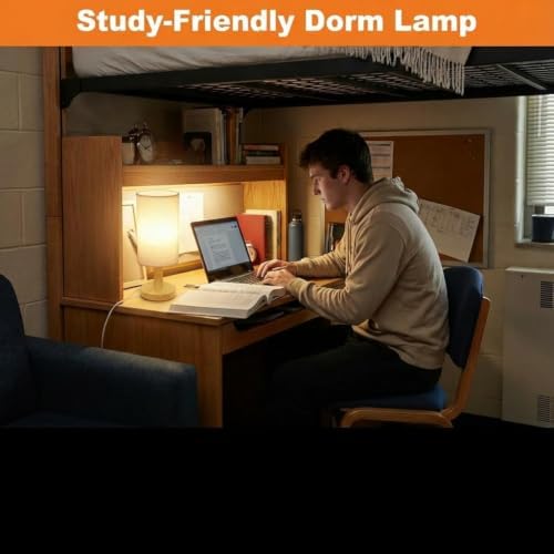 Touch Bedside Table Lamp with Stepless Dimming, USB Powered