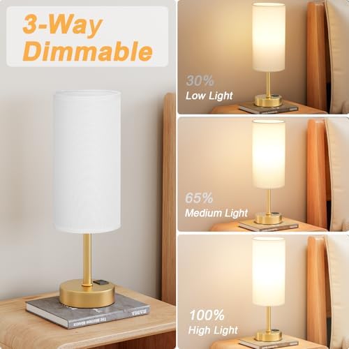 Touch Bedside Lamps for Nightstand - 14" Gold Desk Lamp with USB Ports