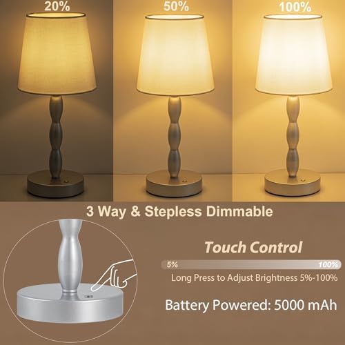CASTLELIFE Rechargeable Cordless Table Lamp, 5000mAh Battery Powered Touch Desk Lamp, 3-Level & Stepless Dimmable Night Light, Portable Bedside Lamp for Bedroom, Outdoor, Bulb Included, Silver