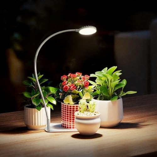 Desktop Indoor Plant Grow Light, 12W Full Spectrum,Plant lamp with 4 Dimmable & 3 Timer Modes, 360° Gooseneck Plant Lights for Office Desk Small Grow Lights for Indoor Plants(White)