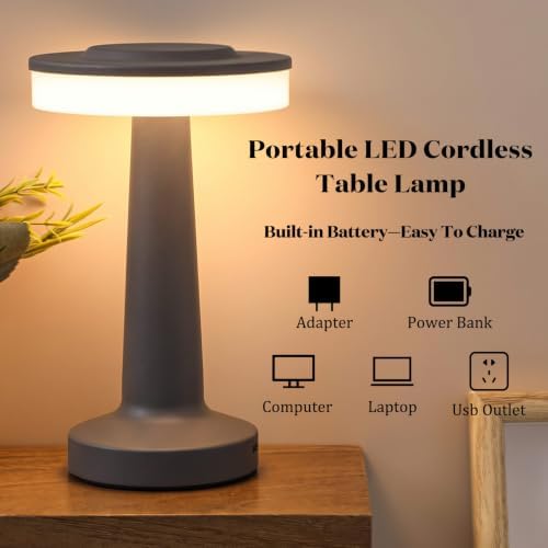 Riakrum 2 Pcs LED Cordless Table Lamp Bulk Rechargeable,Gray
