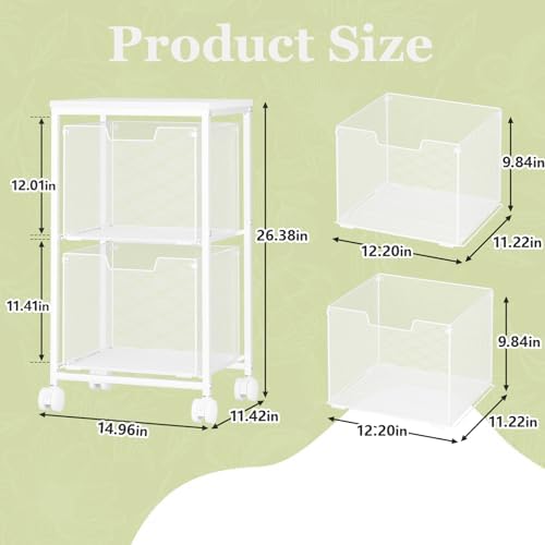 Rolling File Cart with 2 Storage Drawers,Under Desk Storage Cart